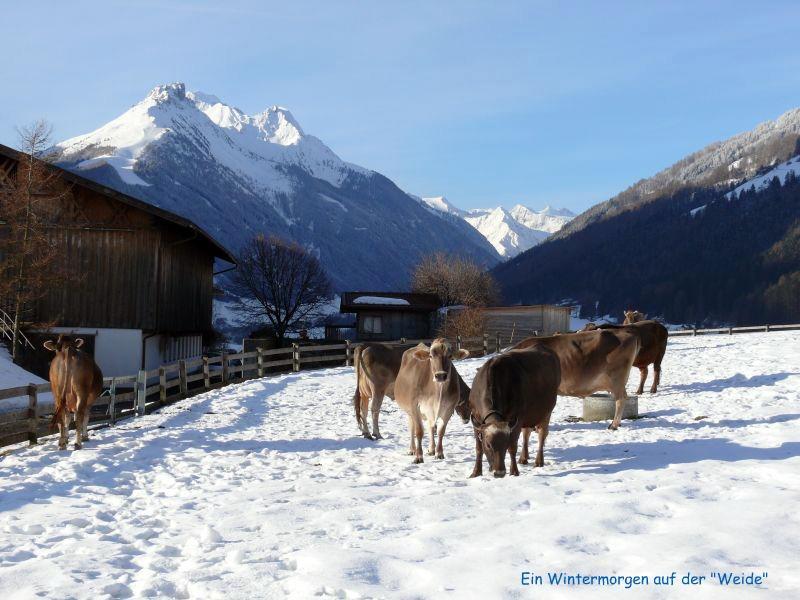 Schottenhof Fulpmes Luaran gambar
