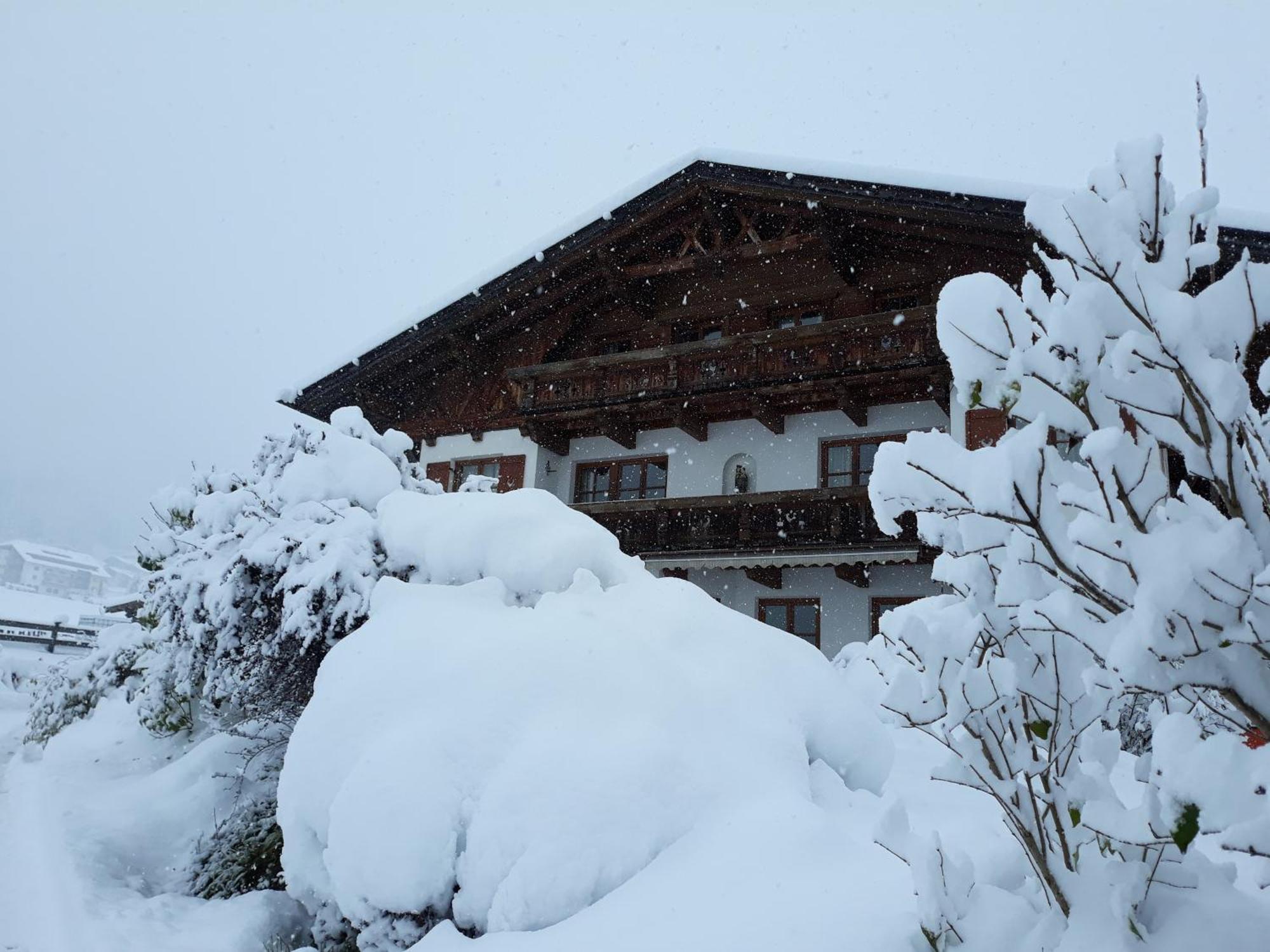 Schottenhof Fulpmes Luaran gambar