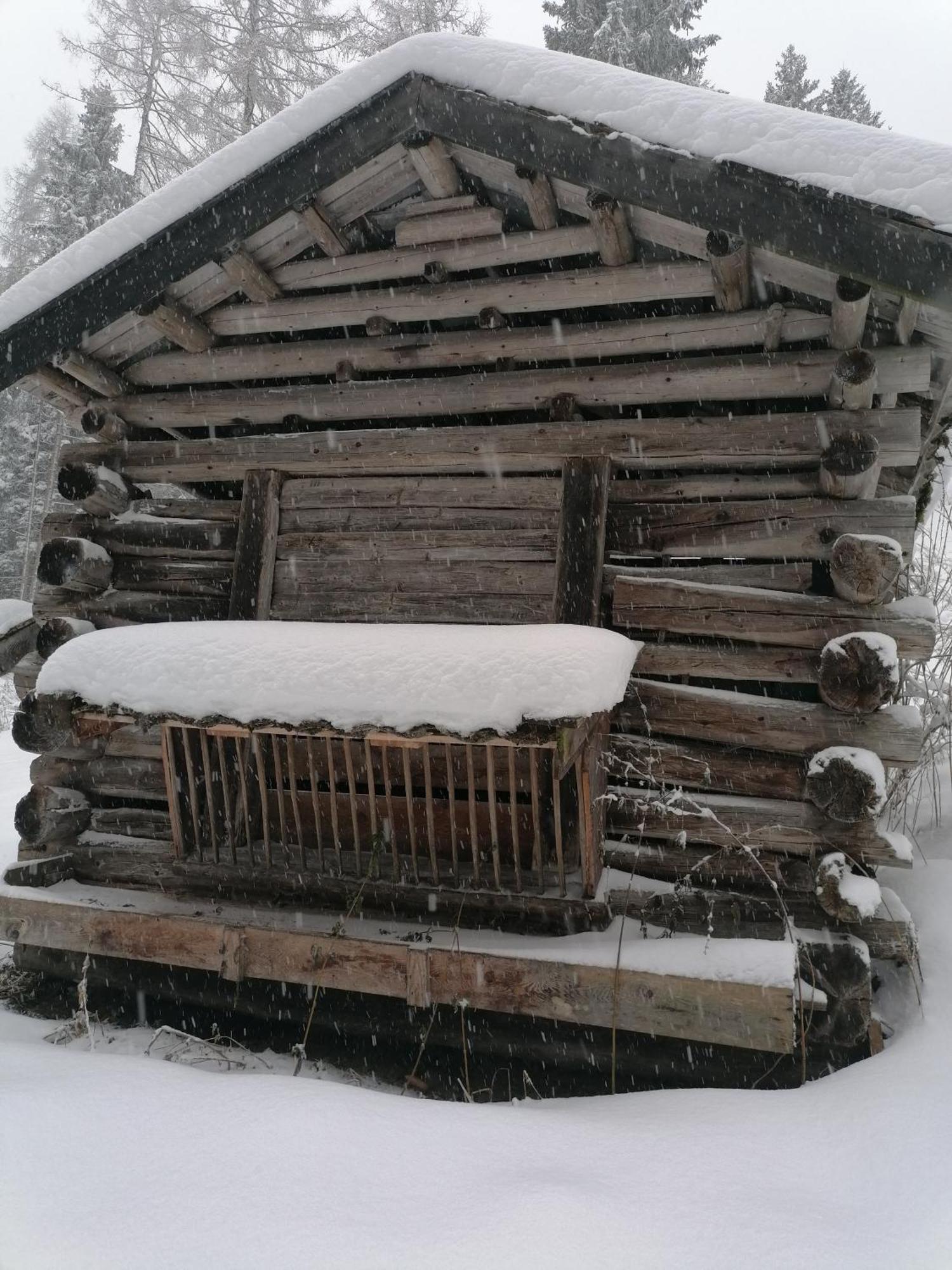 Schottenhof Fulpmes Luaran gambar