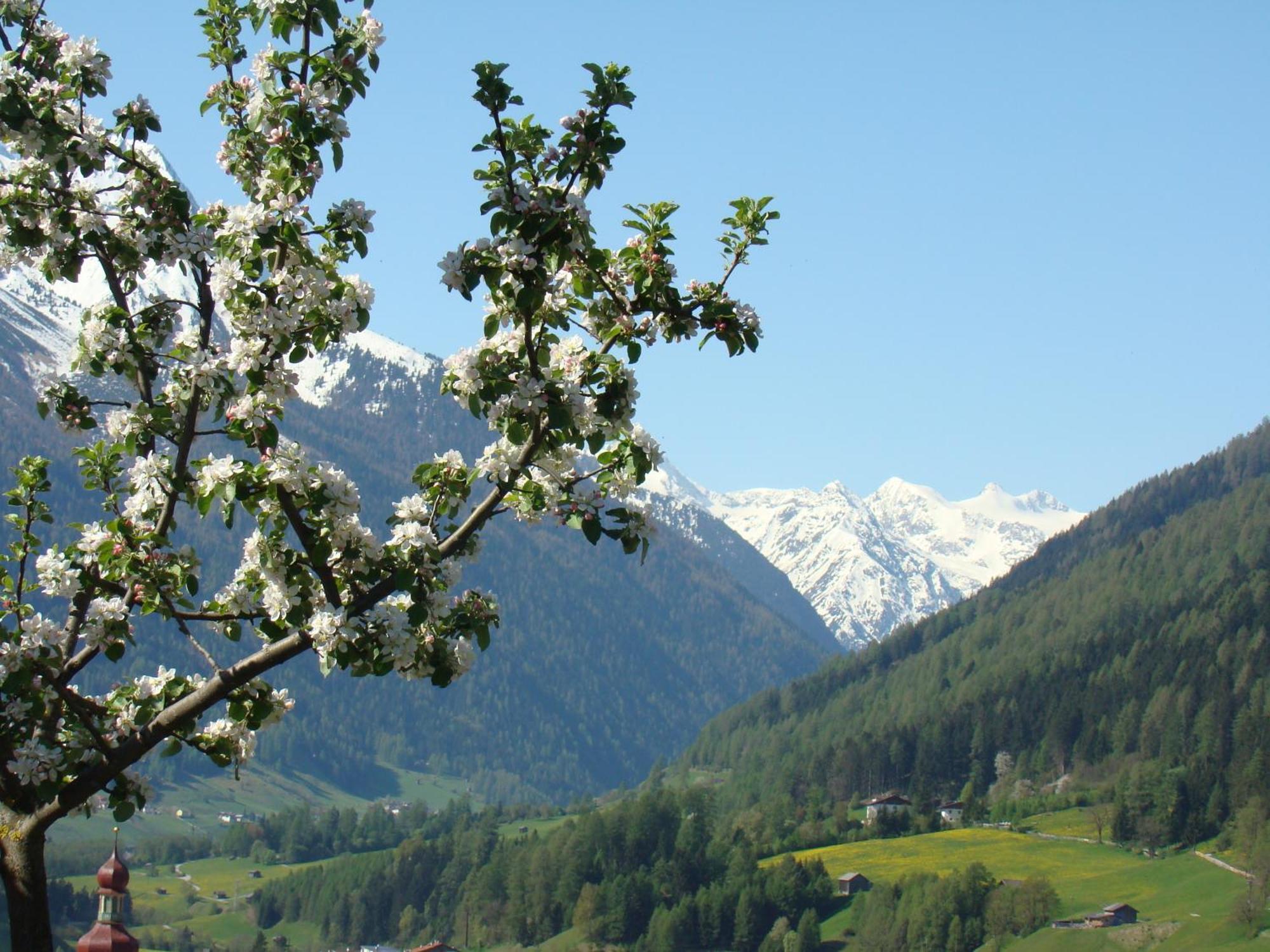 Schottenhof Fulpmes Luaran gambar