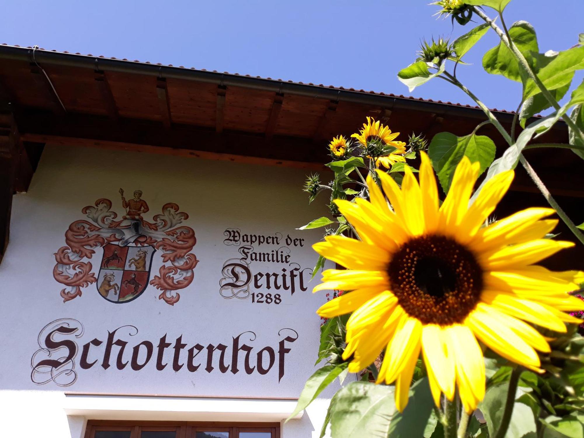 Schottenhof Fulpmes Luaran gambar